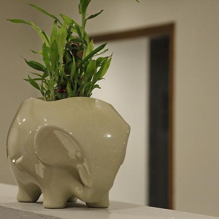 Twin Lotus Samui Hotel Bophut Ngoại thất bức ảnh