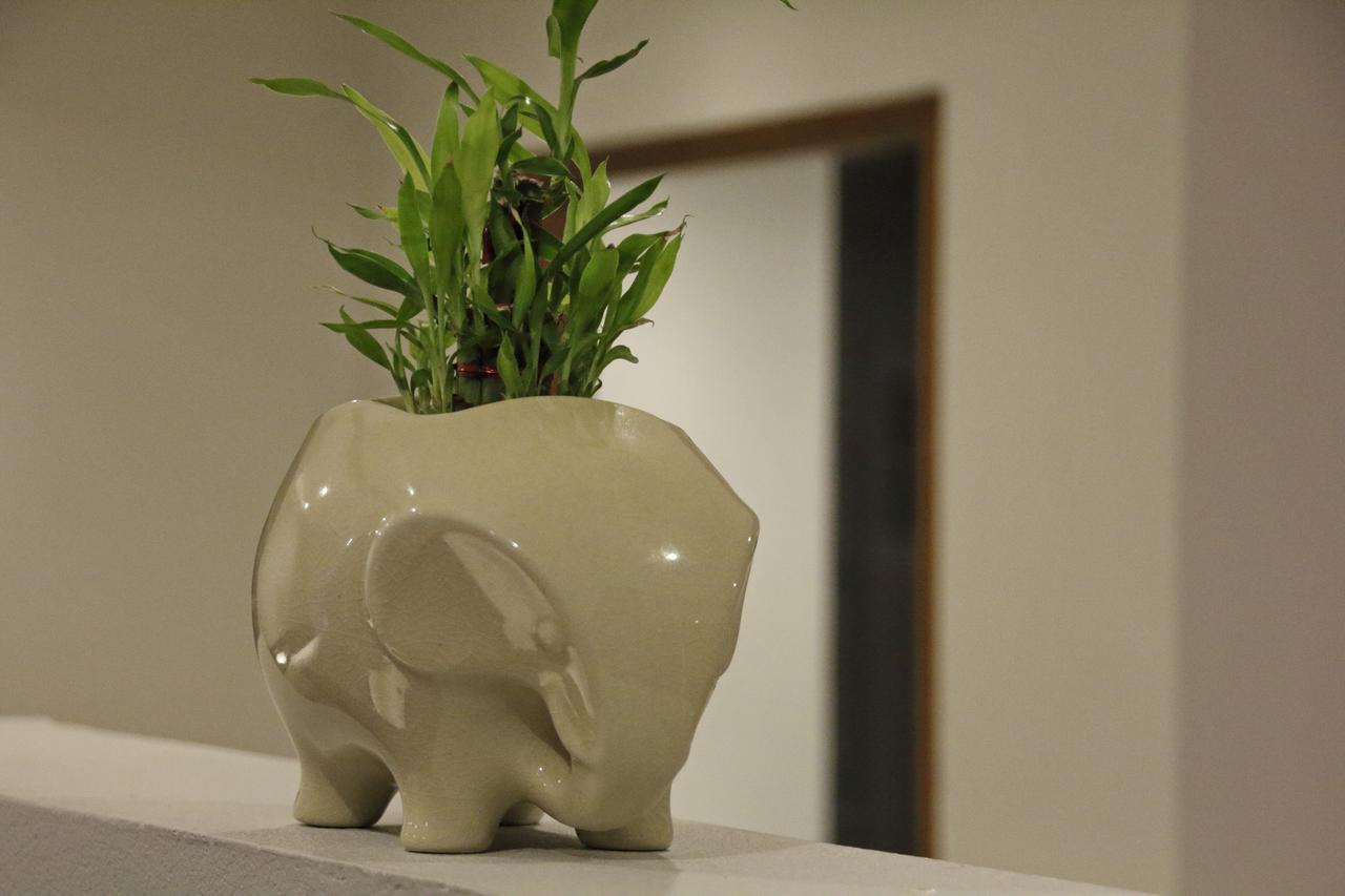 Twin Lotus Samui Hotel Bophut Ngoại thất bức ảnh